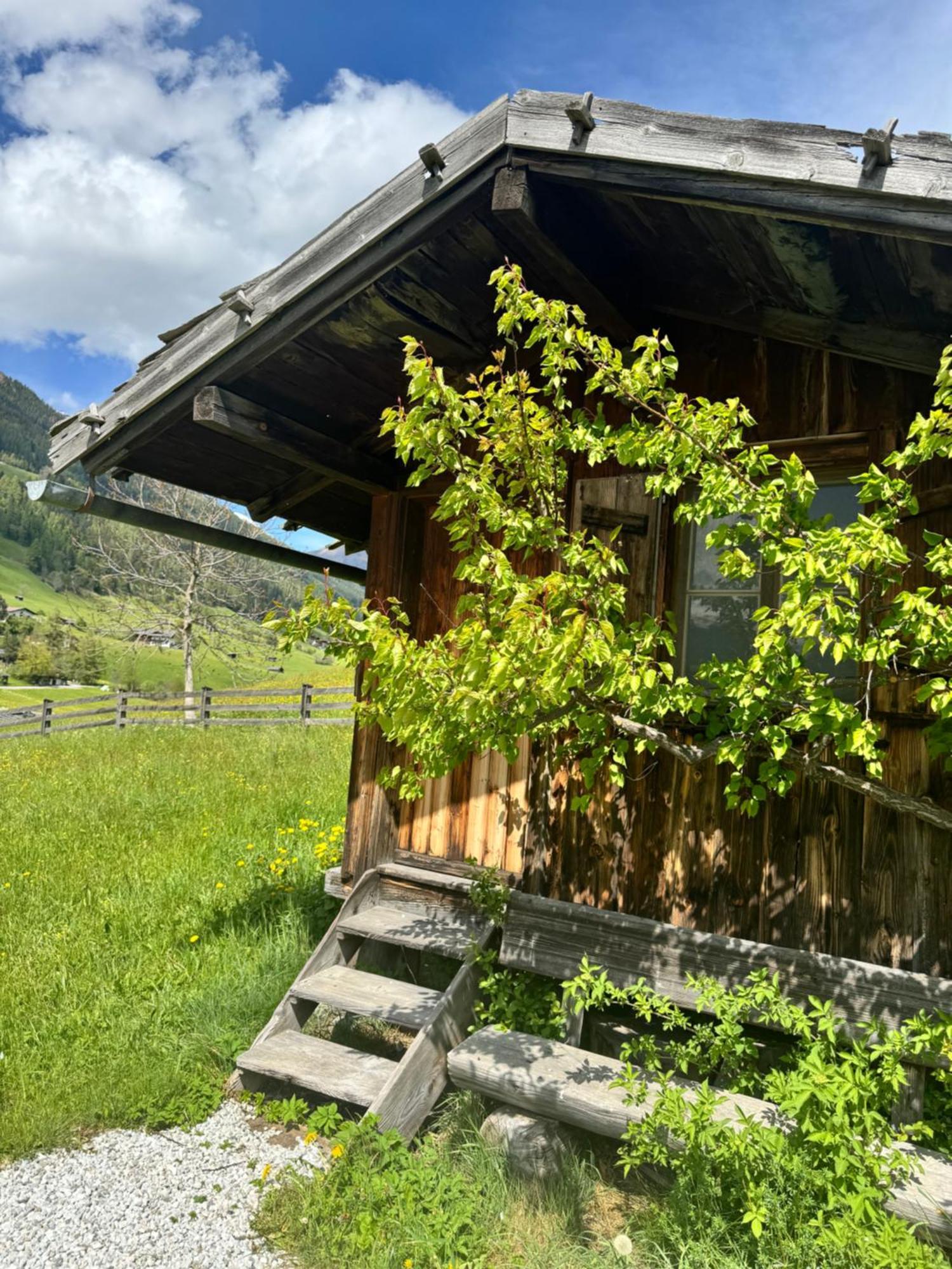 Haus Ilmer Neustift im Stubaital Eksteriør billede